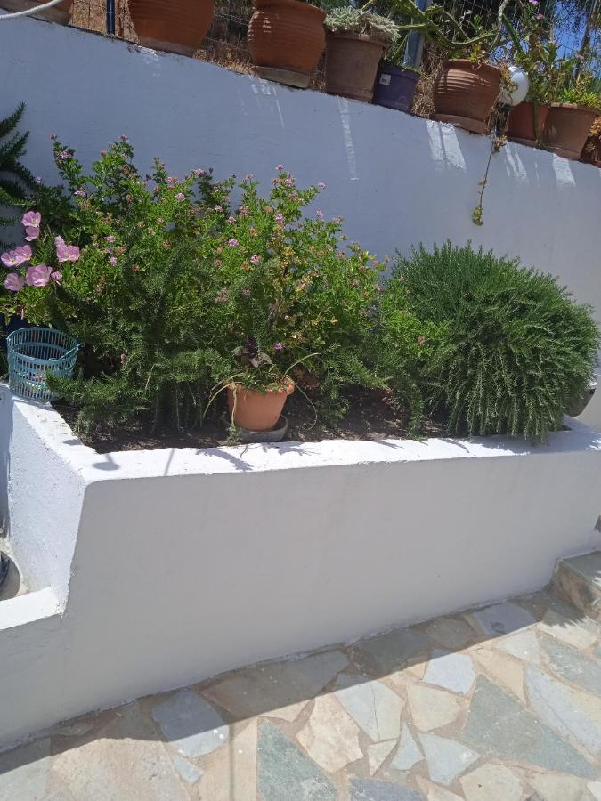 To Limanaki Apartment Finikounta Luaran gambar