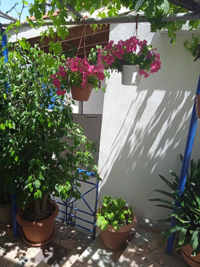 To Limanaki Apartment Finikounta Luaran gambar